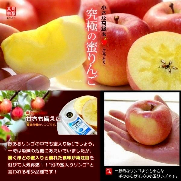 當造環球水果專區