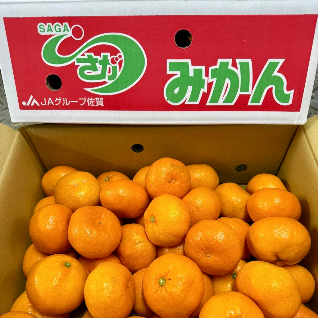 日本蜜柑 和歌山/佐賀/愛媛 5kg