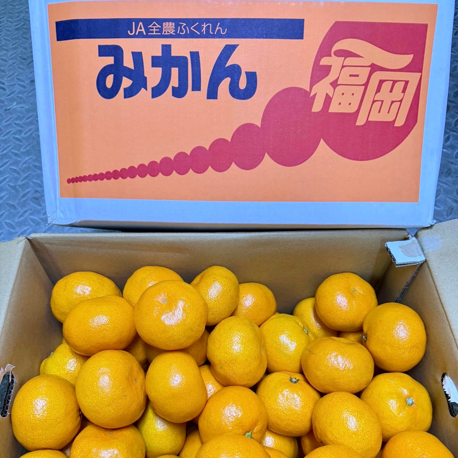 日本蜜柑 和歌山/佐賀/愛媛 5kg