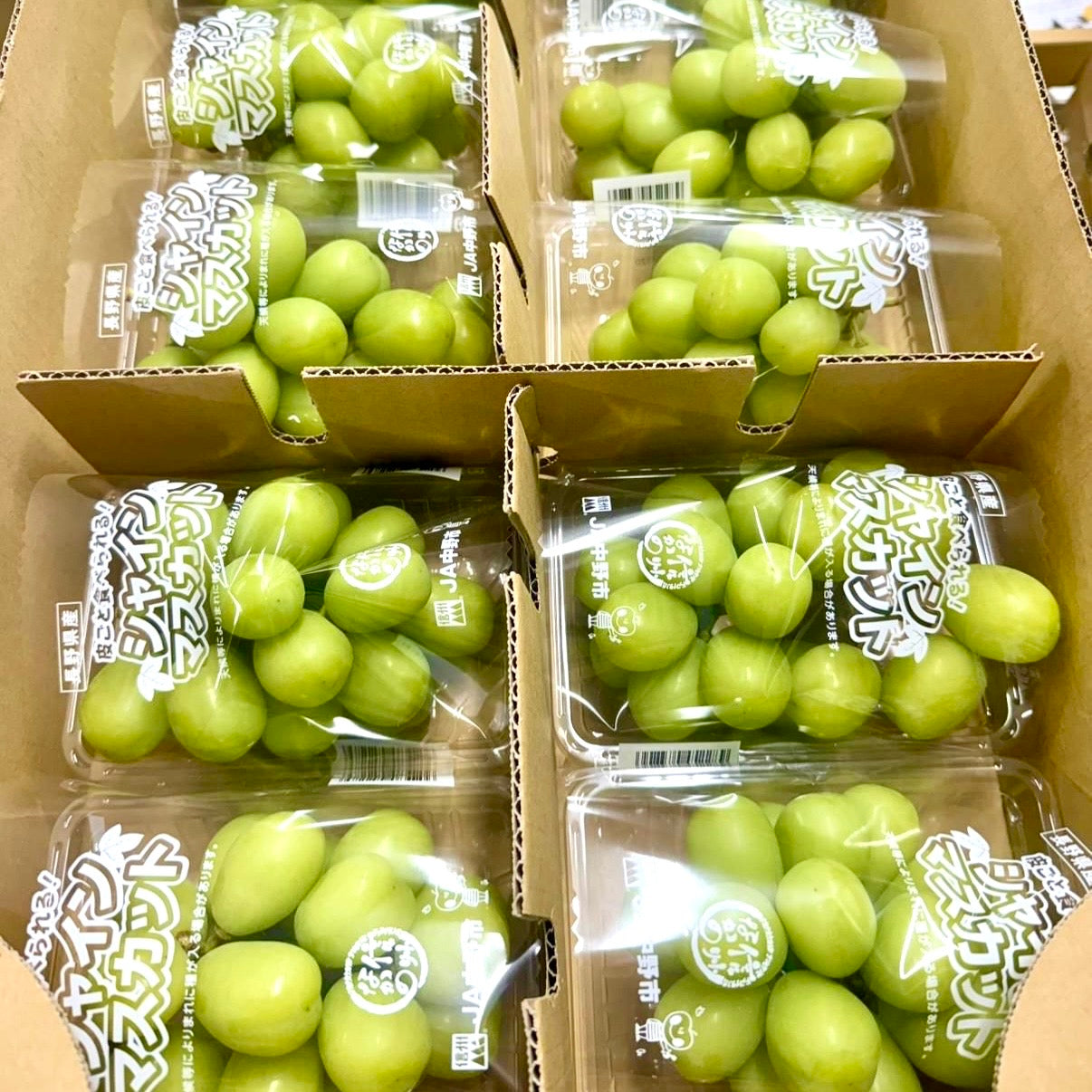 長野香印 350g 10pack裝