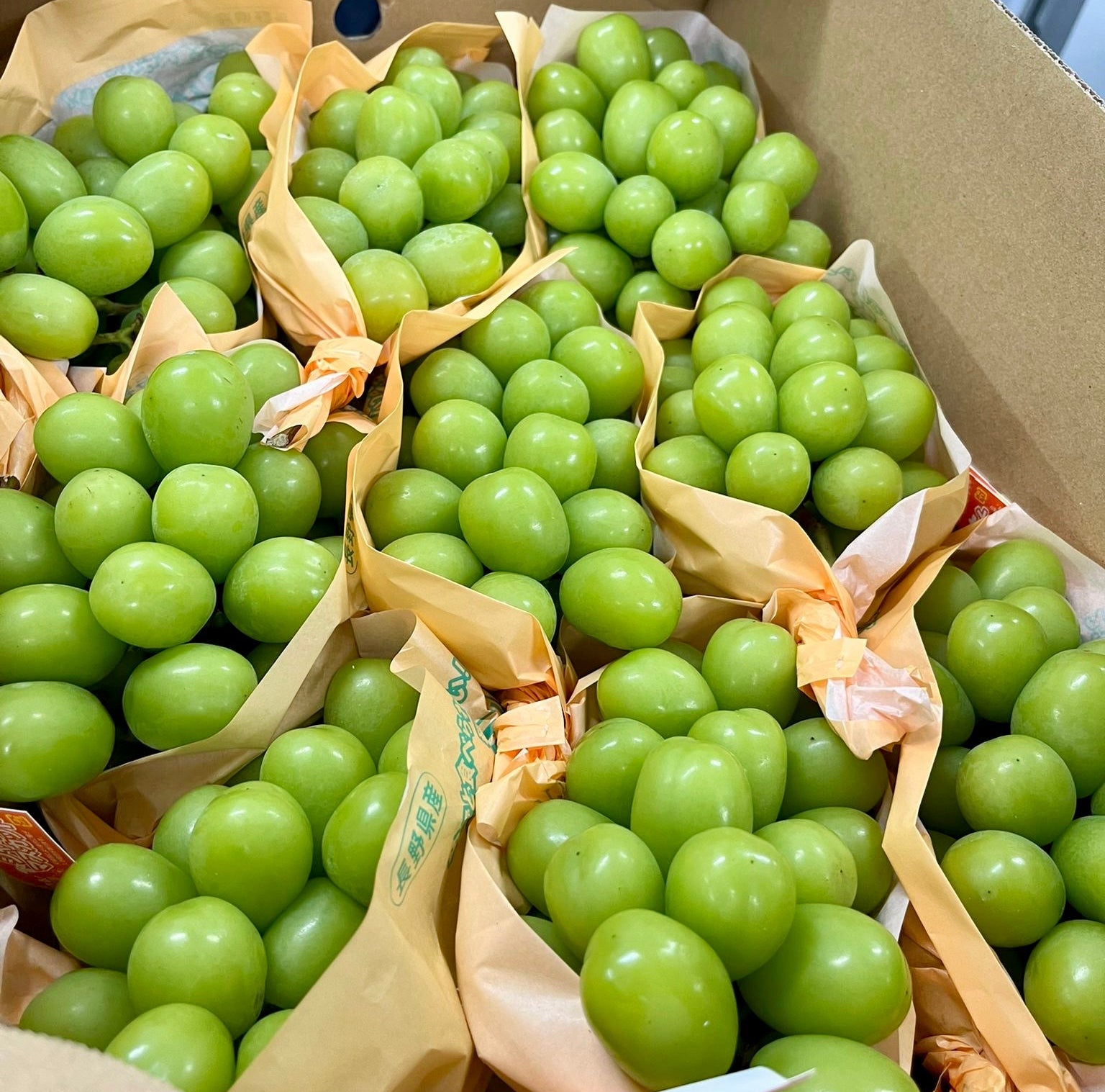 長野 香印提子 5kg 7房/8房 (最平$135/串)