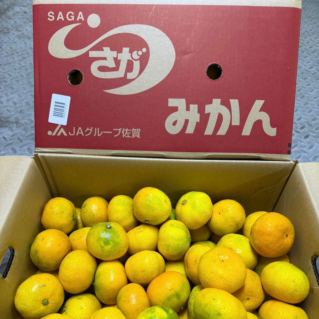 日本蜜柑 和歌山/佐賀/愛媛 5kg