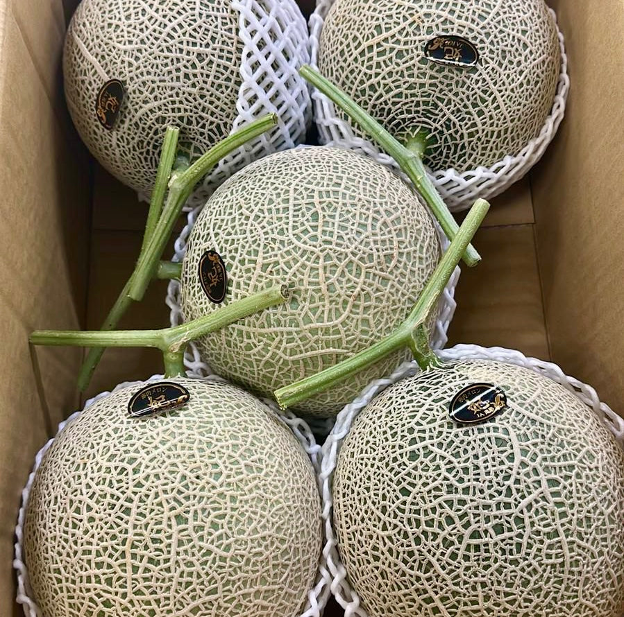 宮崎/熊本 赤肉蜜瓜 5入 8kg