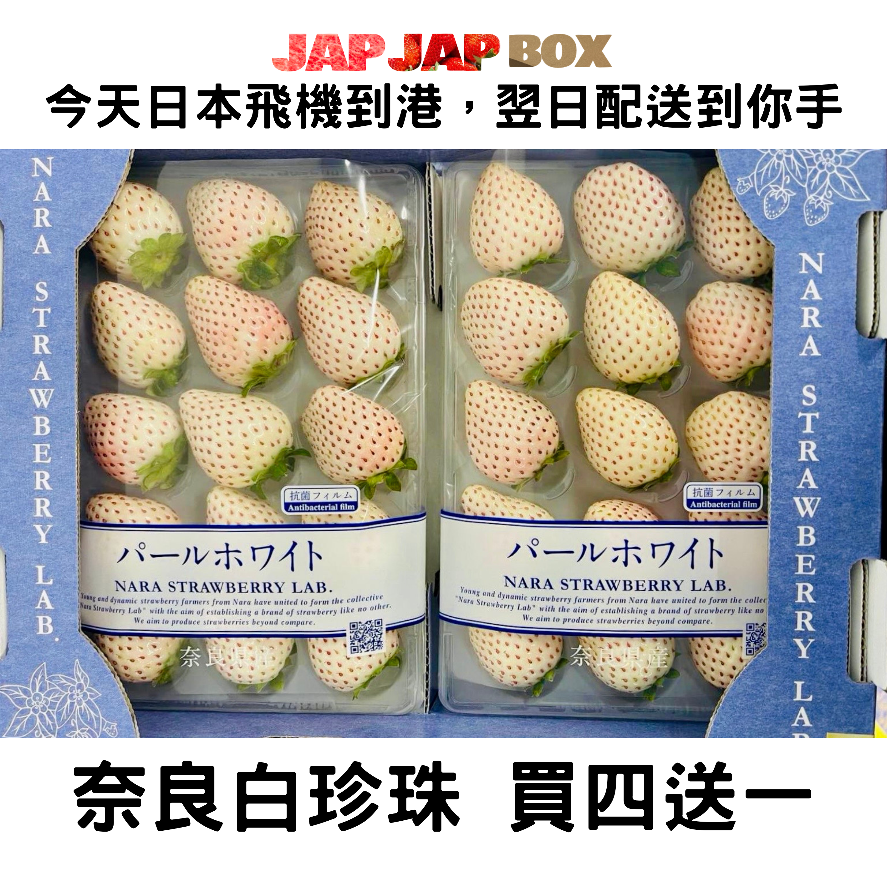 奈良 白珍珠 每盒2包 買4盒送1盒 (每包低至$138)